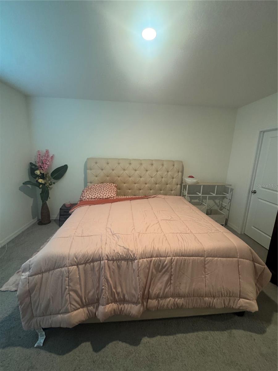 33074 TULIP PETAL LN, WESLEY CHAPEL, FL, 33545