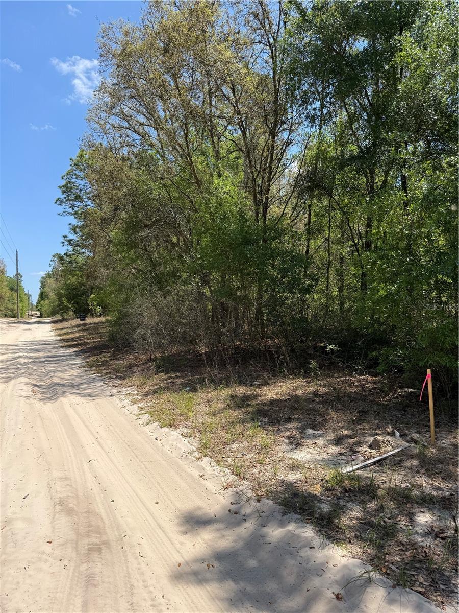 NE 118TH LN, BRONSON, FL, 32621