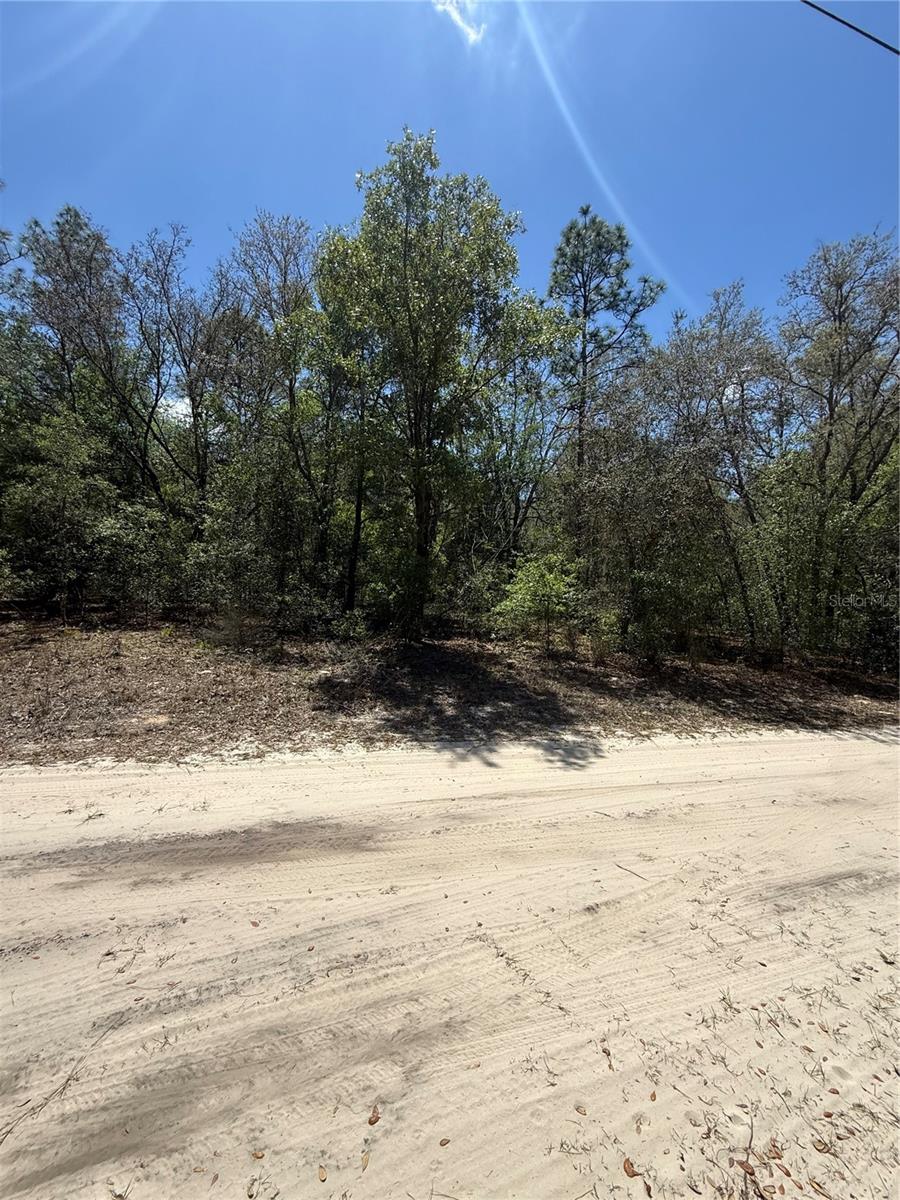 NE 118TH LN, BRONSON, FL, 32621