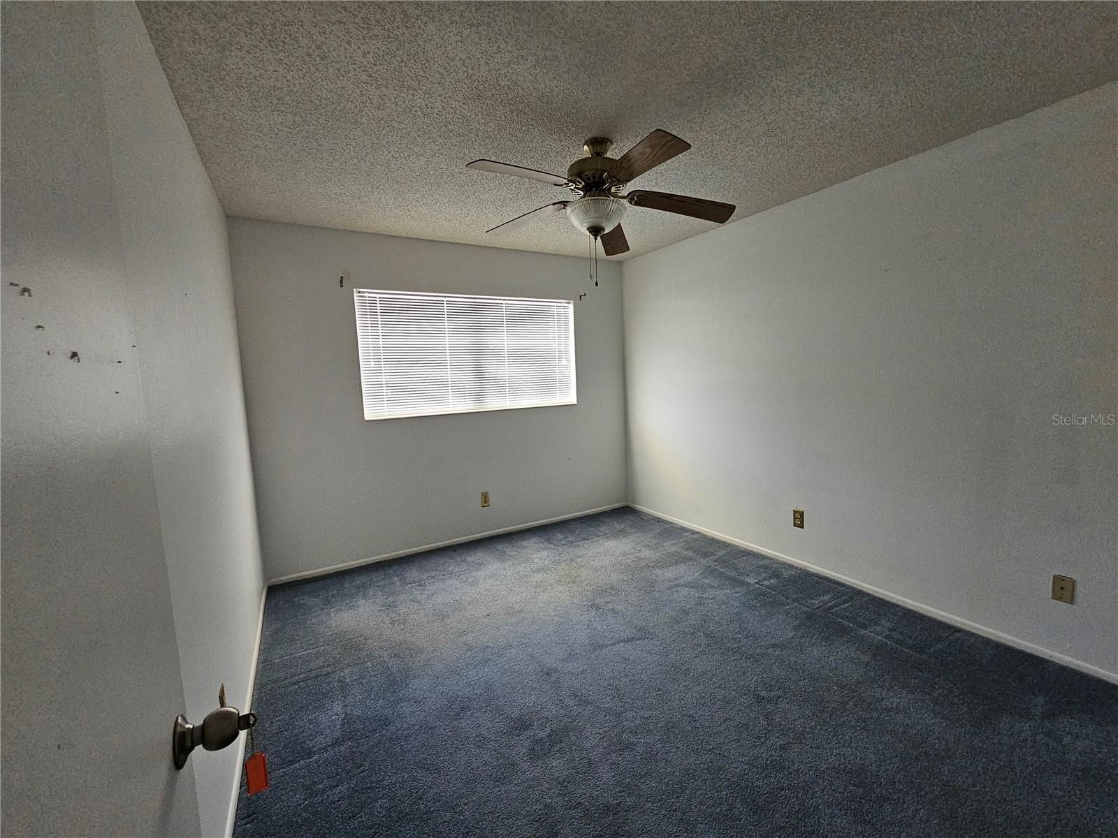 2386 SUMATRAN WAY #44, CLEARWATER, FL, 33763