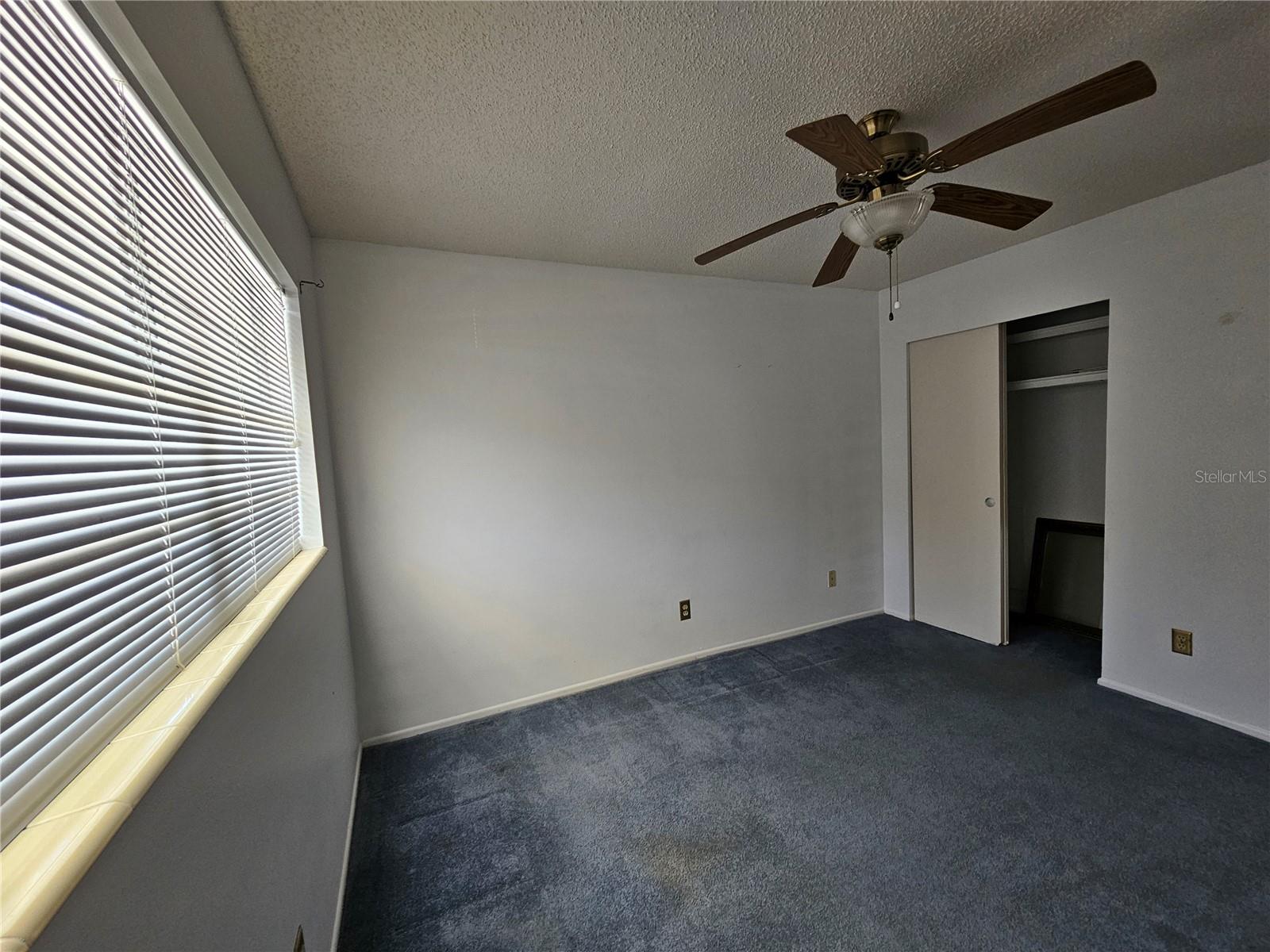 2386 SUMATRAN WAY #44, CLEARWATER, FL, 33763