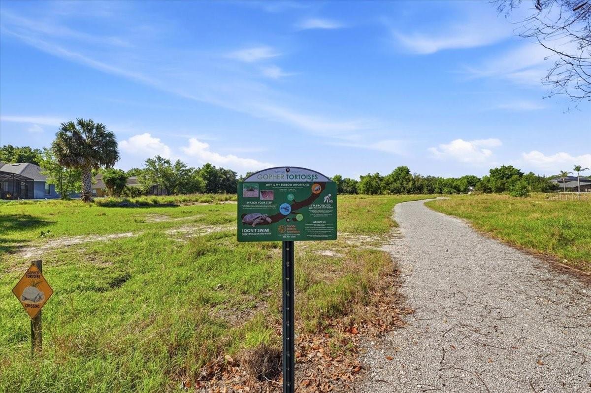 445 AMETHYST AVE, AUBURNDALE, FL, 33823