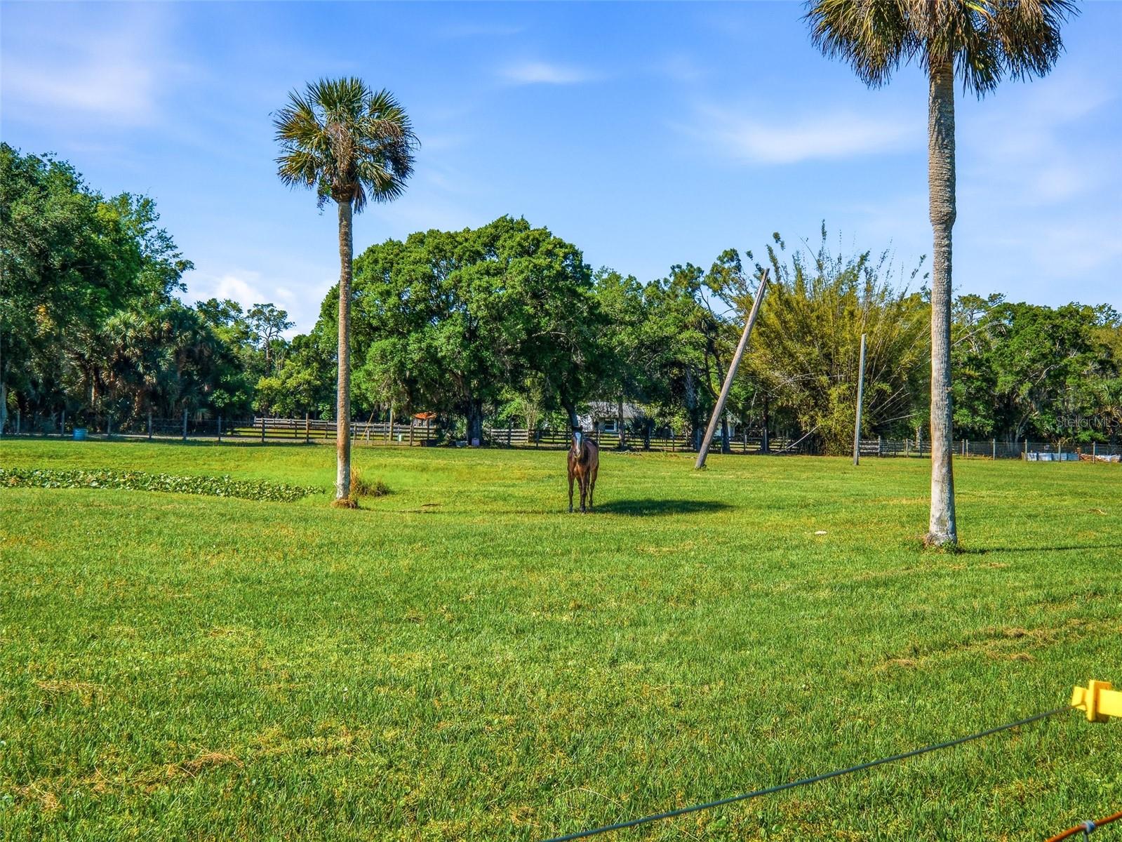 479 MAYTOWN RD, OAK HILL, FL, 32759