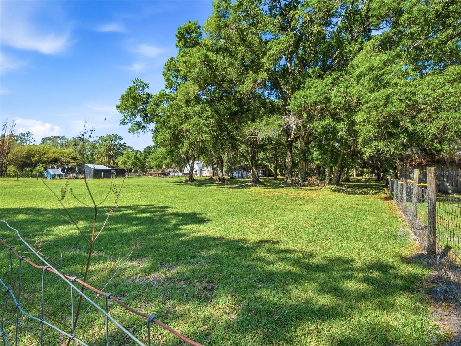 479 MAYTOWN RD, OAK HILL, FL, 32759