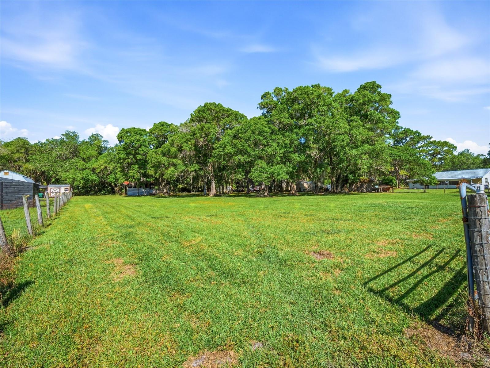 479 MAYTOWN RD, OAK HILL, FL, 32759