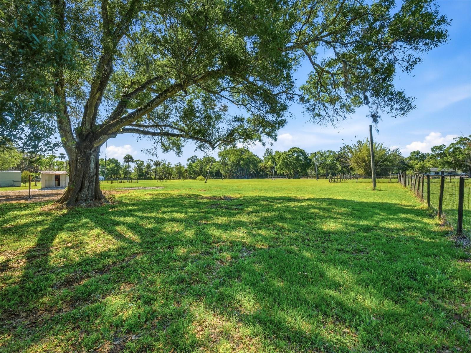 479 MAYTOWN RD, OAK HILL, FL, 32759