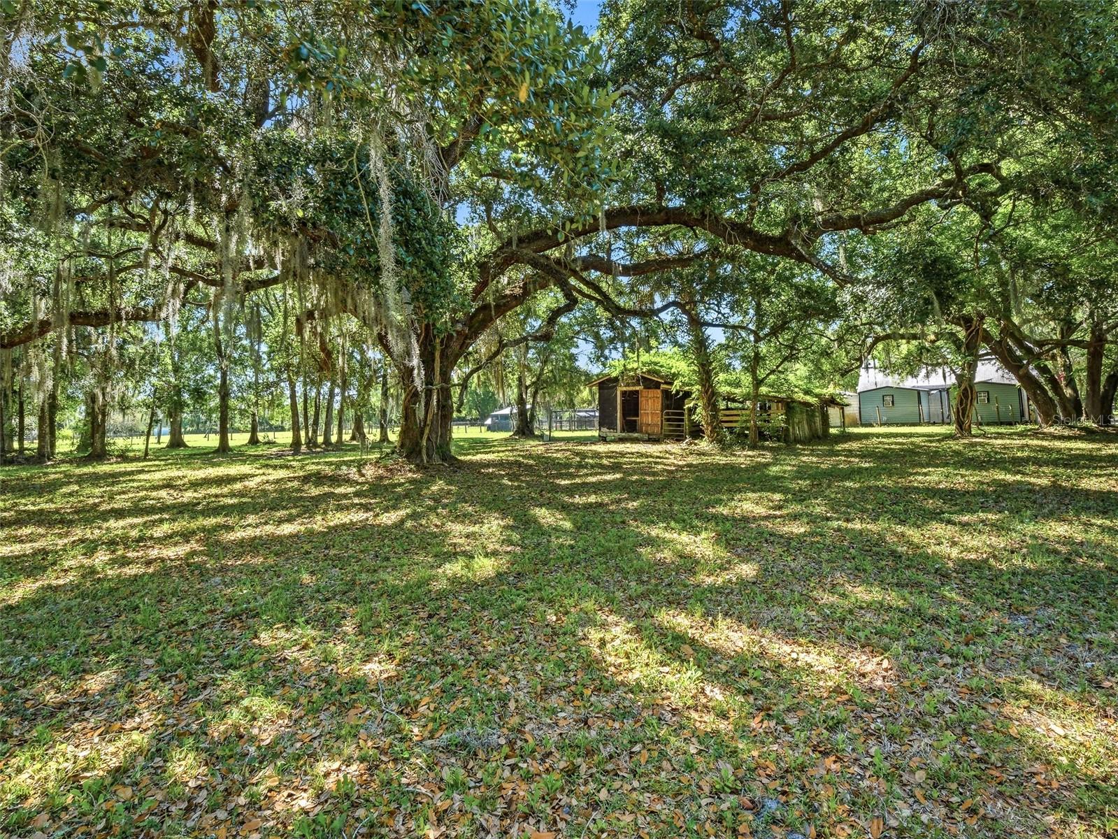 479 MAYTOWN RD, OAK HILL, FL, 32759