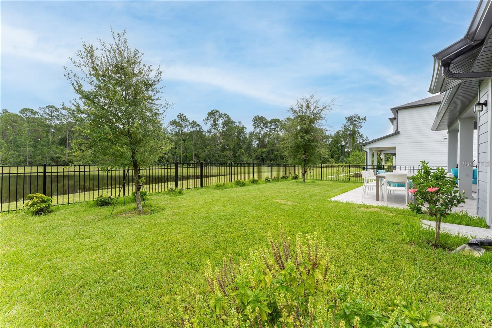 11243 PIXIE MANDARIN CT, WINTER GARDEN, FL, 34787