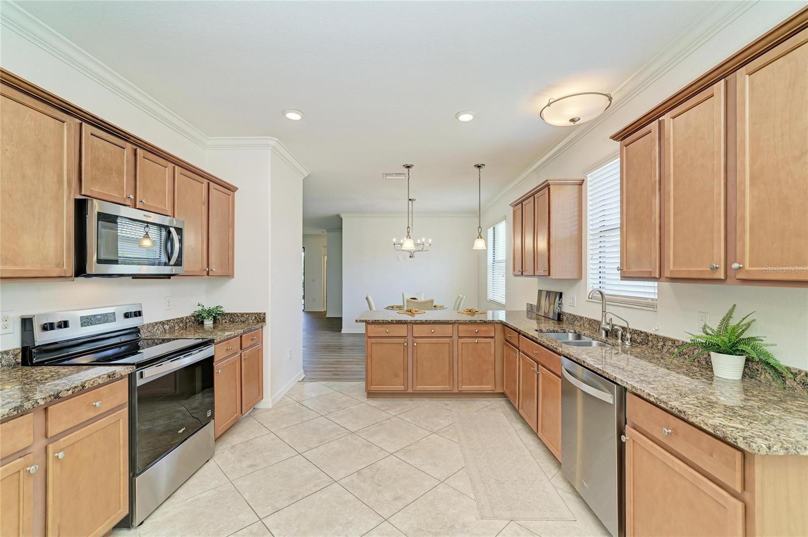 113 WANDERING WETLANDS CIR, BRADENTON, FL, 34212