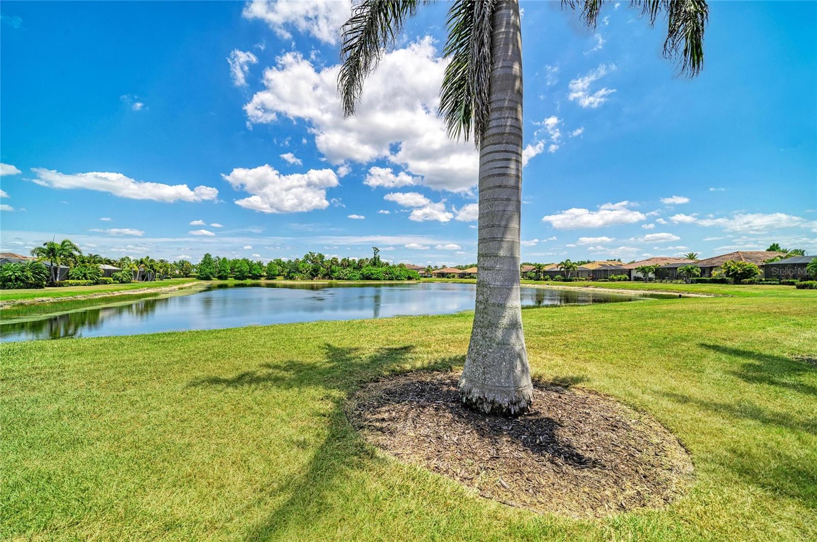 113 WANDERING WETLANDS CIR, BRADENTON, FL, 34212