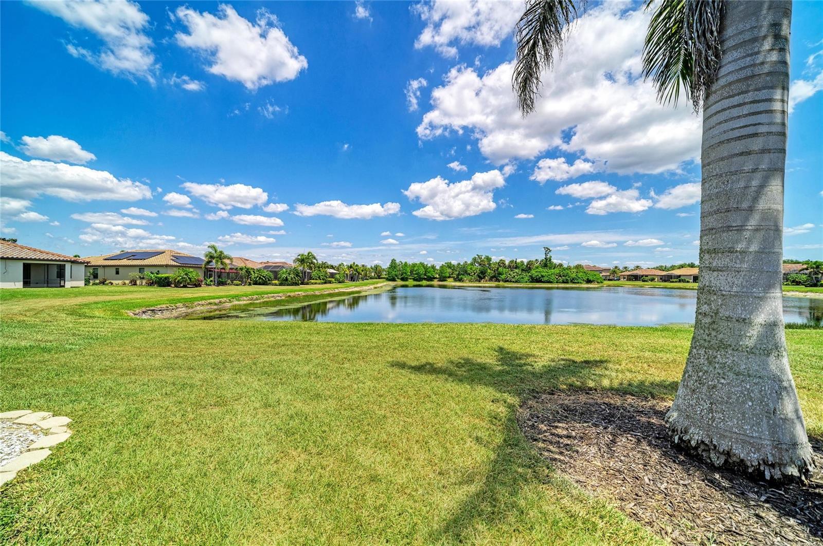113 WANDERING WETLANDS CIR, BRADENTON, FL, 34212