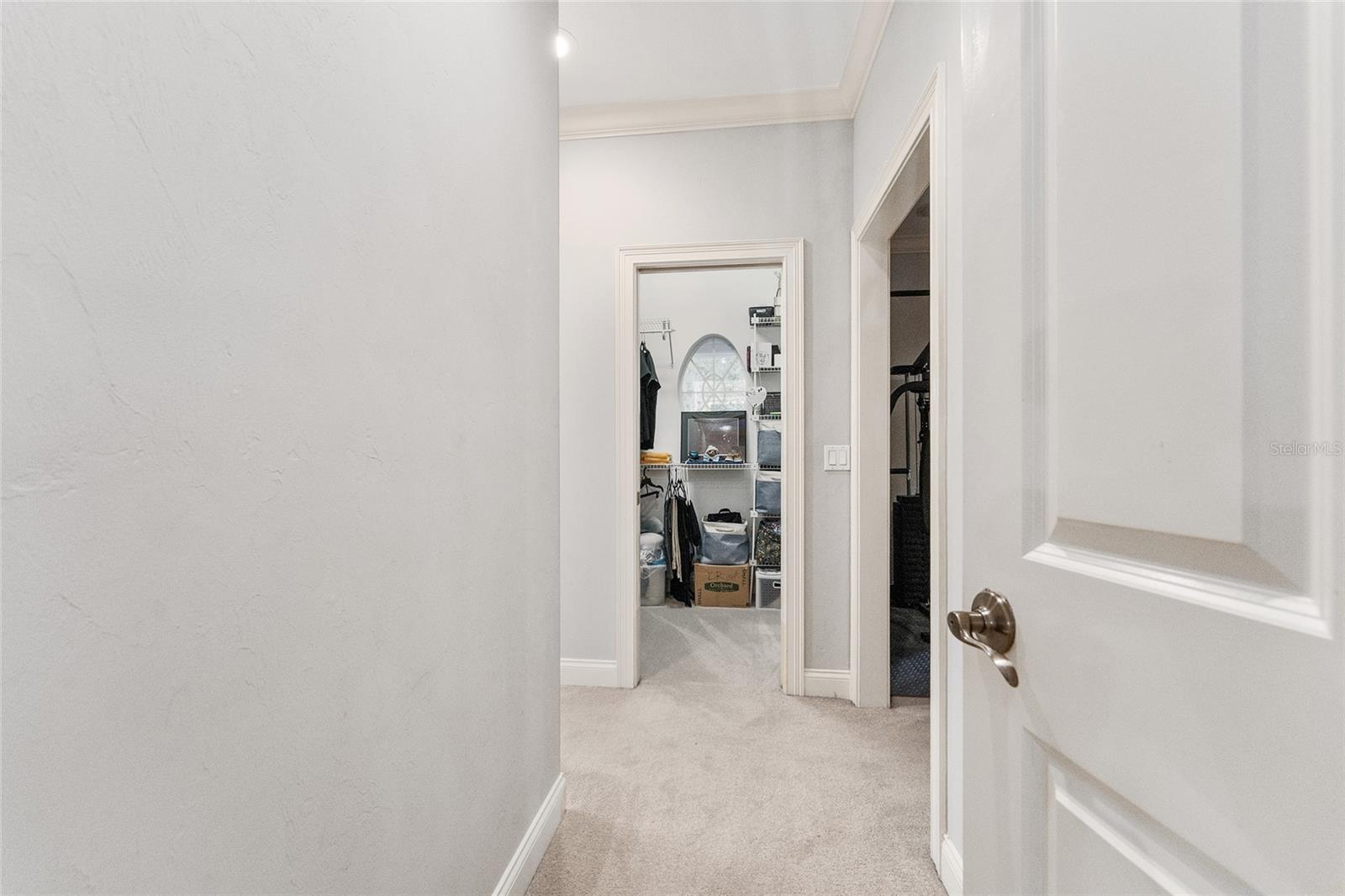 240 SW 131ST ST, NEWBERRY, FL, 32669