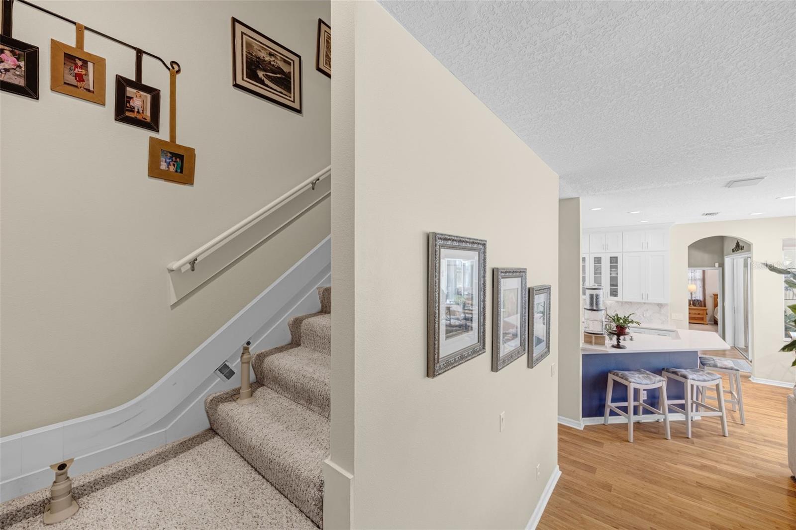 4415 MERRICK RUN LN, VALRICO, FL, 33596