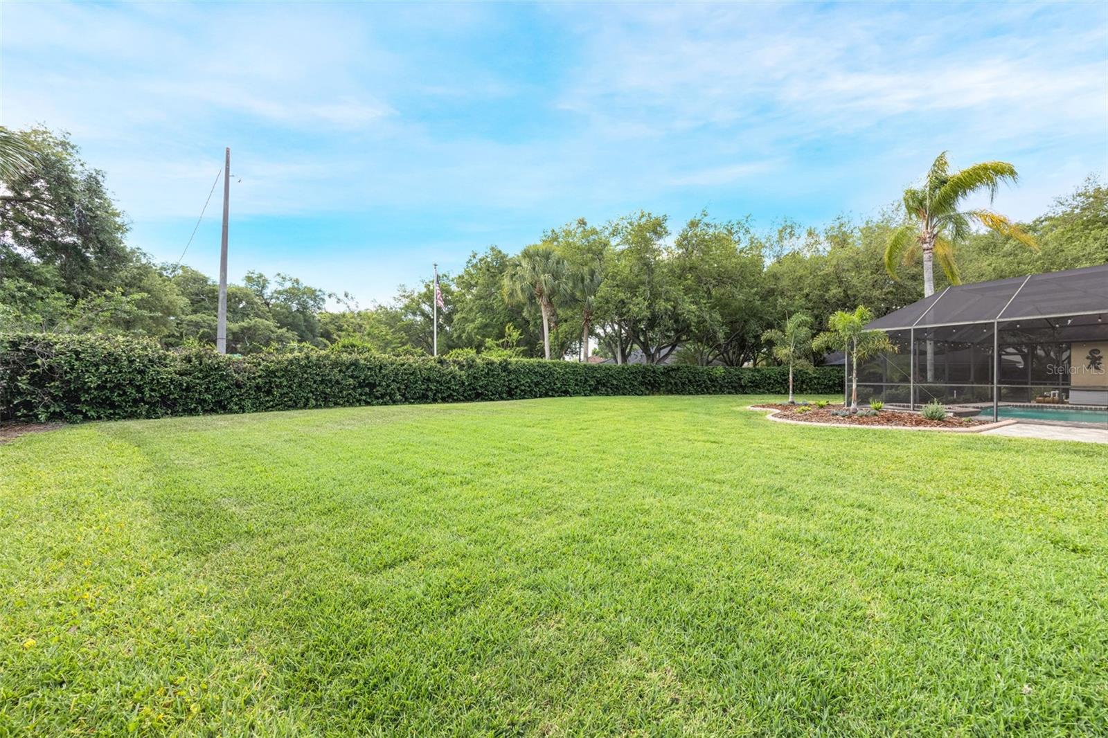 4415 MERRICK RUN LN, VALRICO, FL, 33596