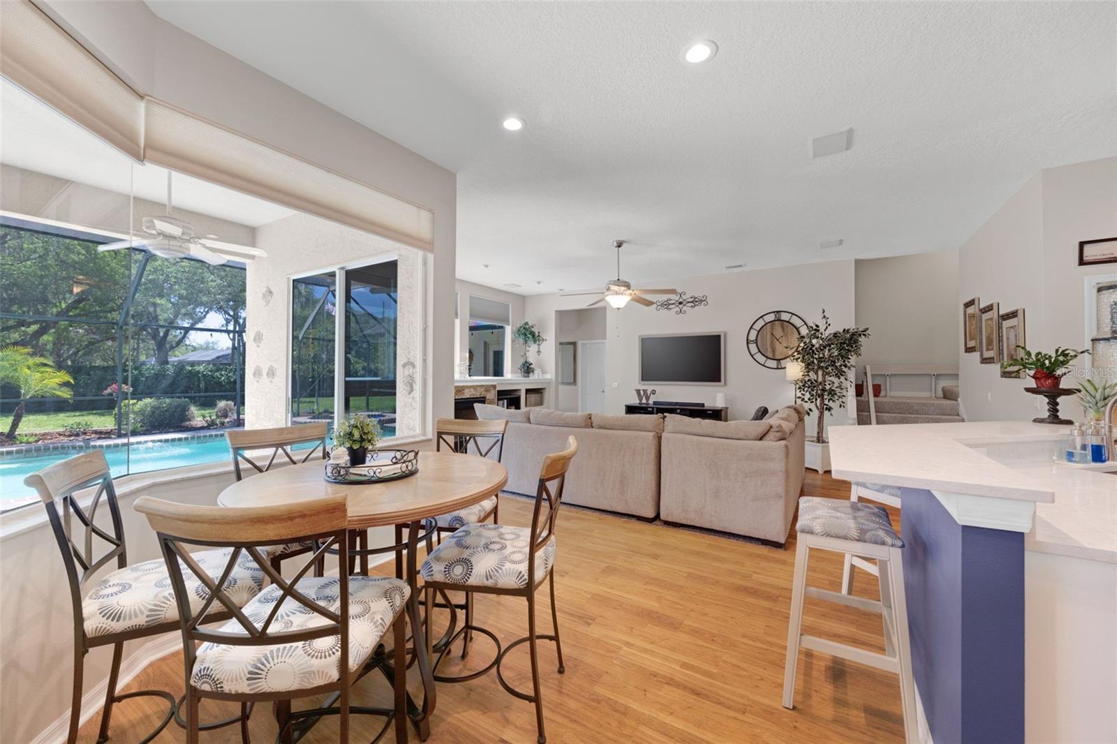 4415 MERRICK RUN LN, VALRICO, FL, 33596