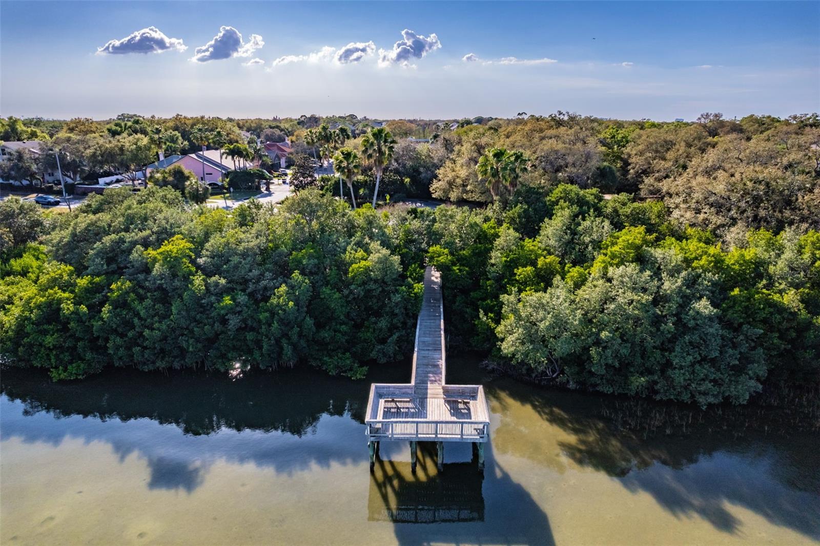 3019 BAYSHORE POINTE DR, TAMPA, FL, 33611