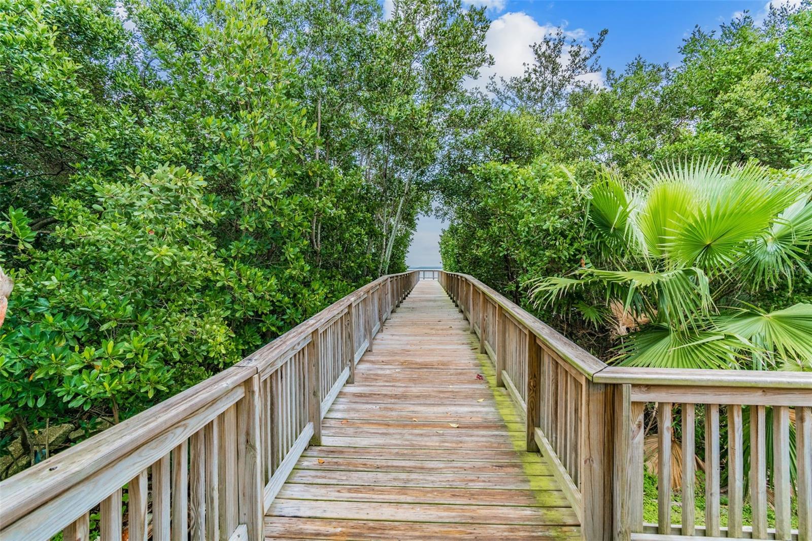 3019 BAYSHORE POINTE DR, TAMPA, FL, 33611