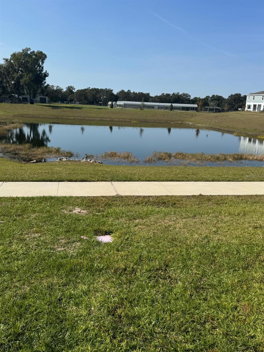 466 THOMPSON VILLAGE AVE, APOPKA, FL, 32703