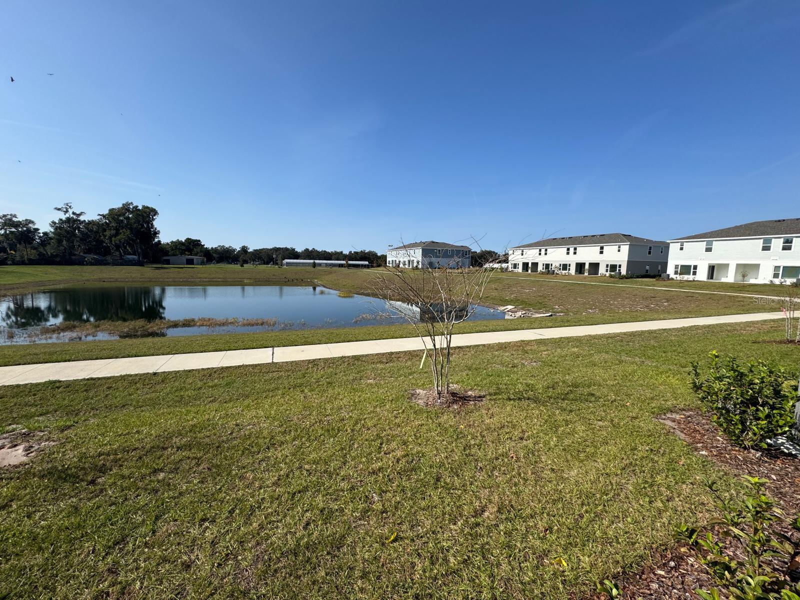 466 THOMPSON VILLAGE AVE, APOPKA, FL, 32703