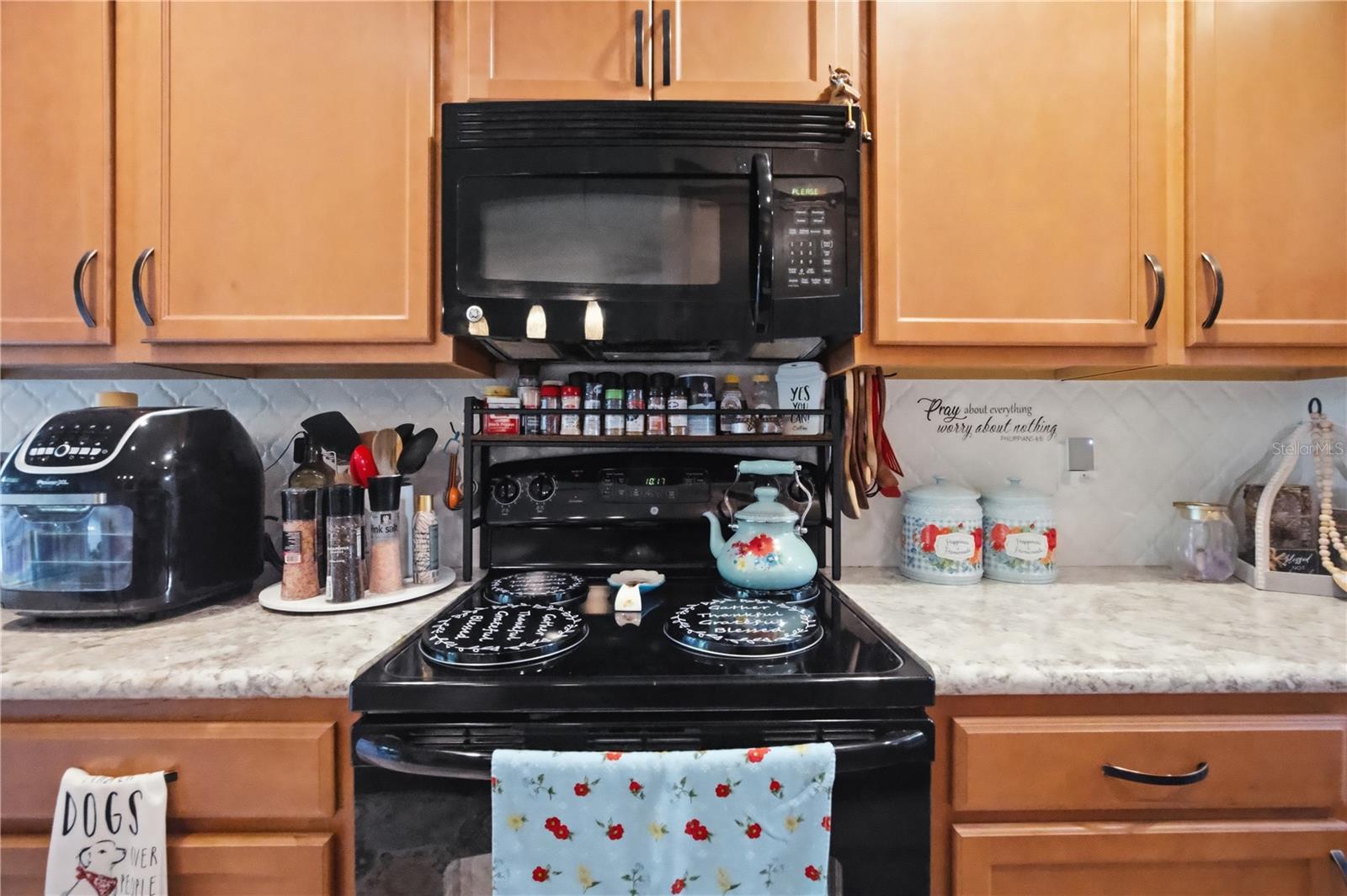 2111 RIVER TURIA CIR, RIVERVIEW, FL, 33578