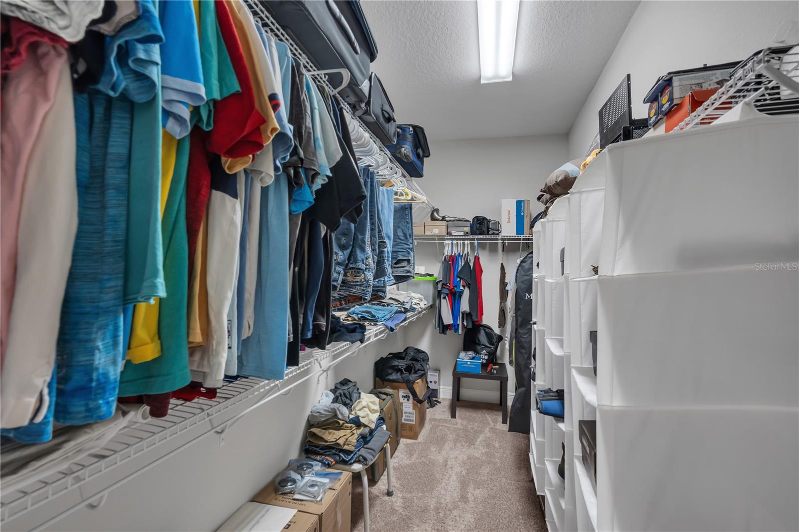 6166 HAMLIN RESERVE BLVD, WINTER GARDEN, FL, 34787