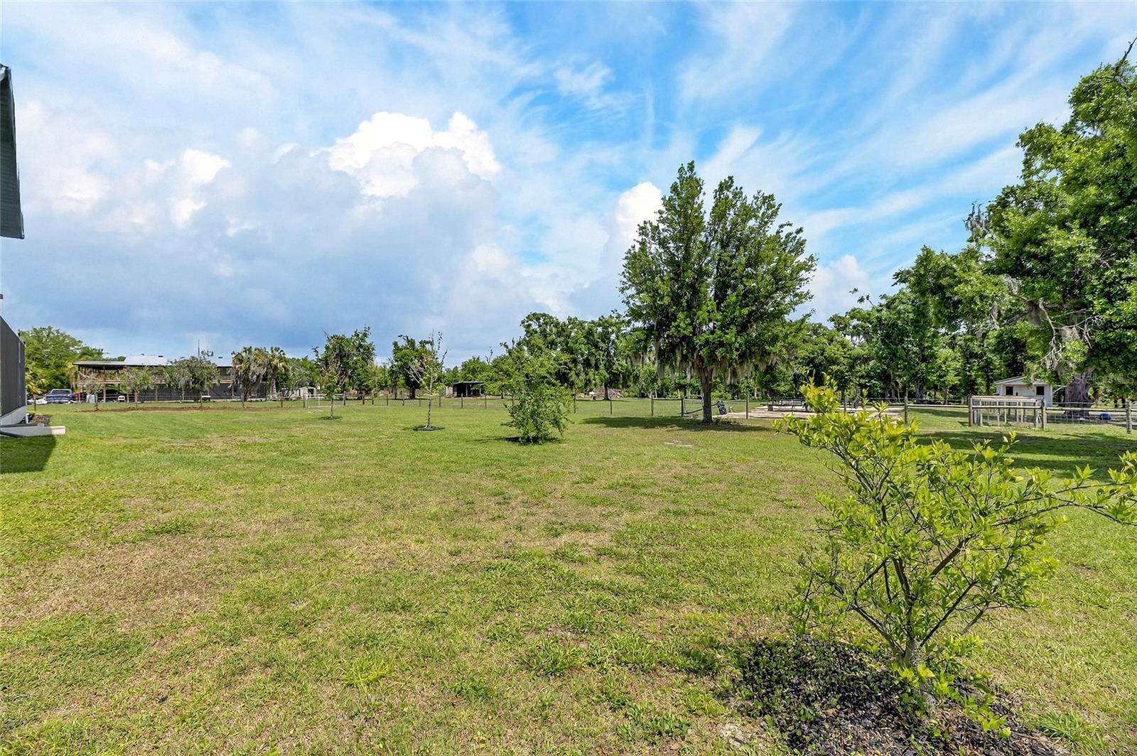 16410 ALDERMAN TURNER RD, WIMAUMA, FL, 33598