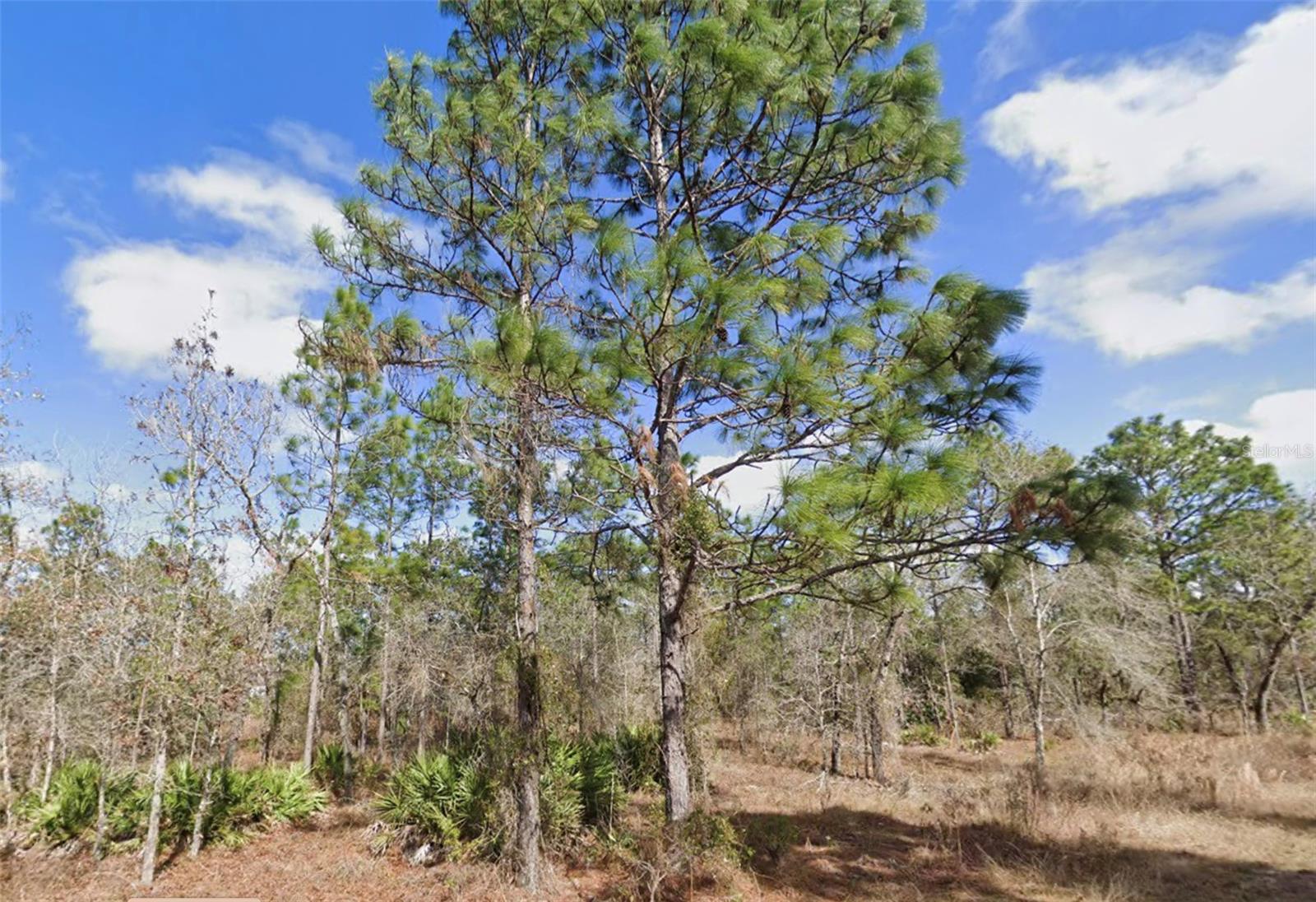 13351 SCHICK AVE, BROOKSVILLE, FL, 34614