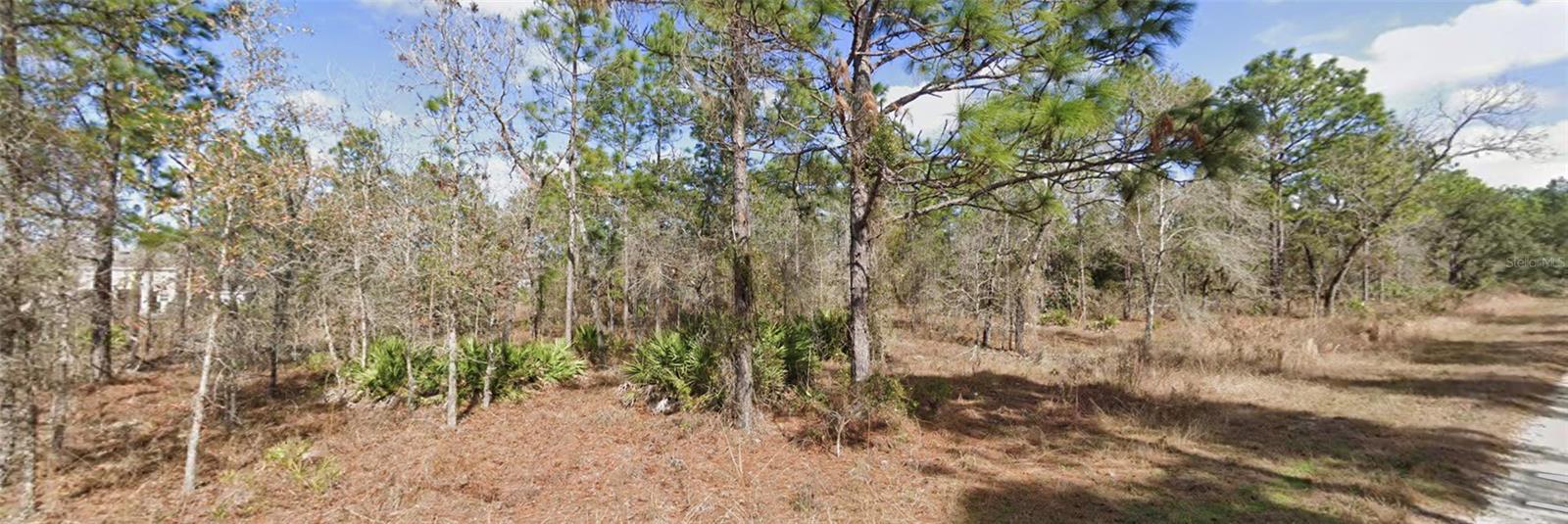 13351 SCHICK AVE, BROOKSVILLE, FL, 34614