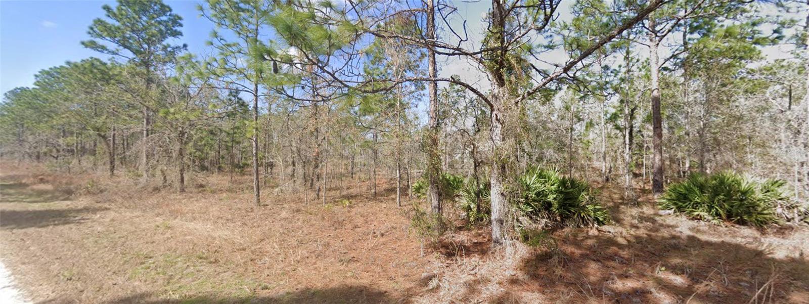 13351 SCHICK AVE, BROOKSVILLE, FL, 34614