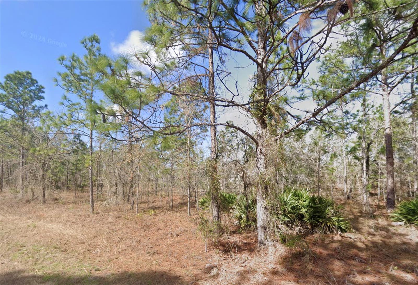 13351 SCHICK AVE, BROOKSVILLE, FL, 34614