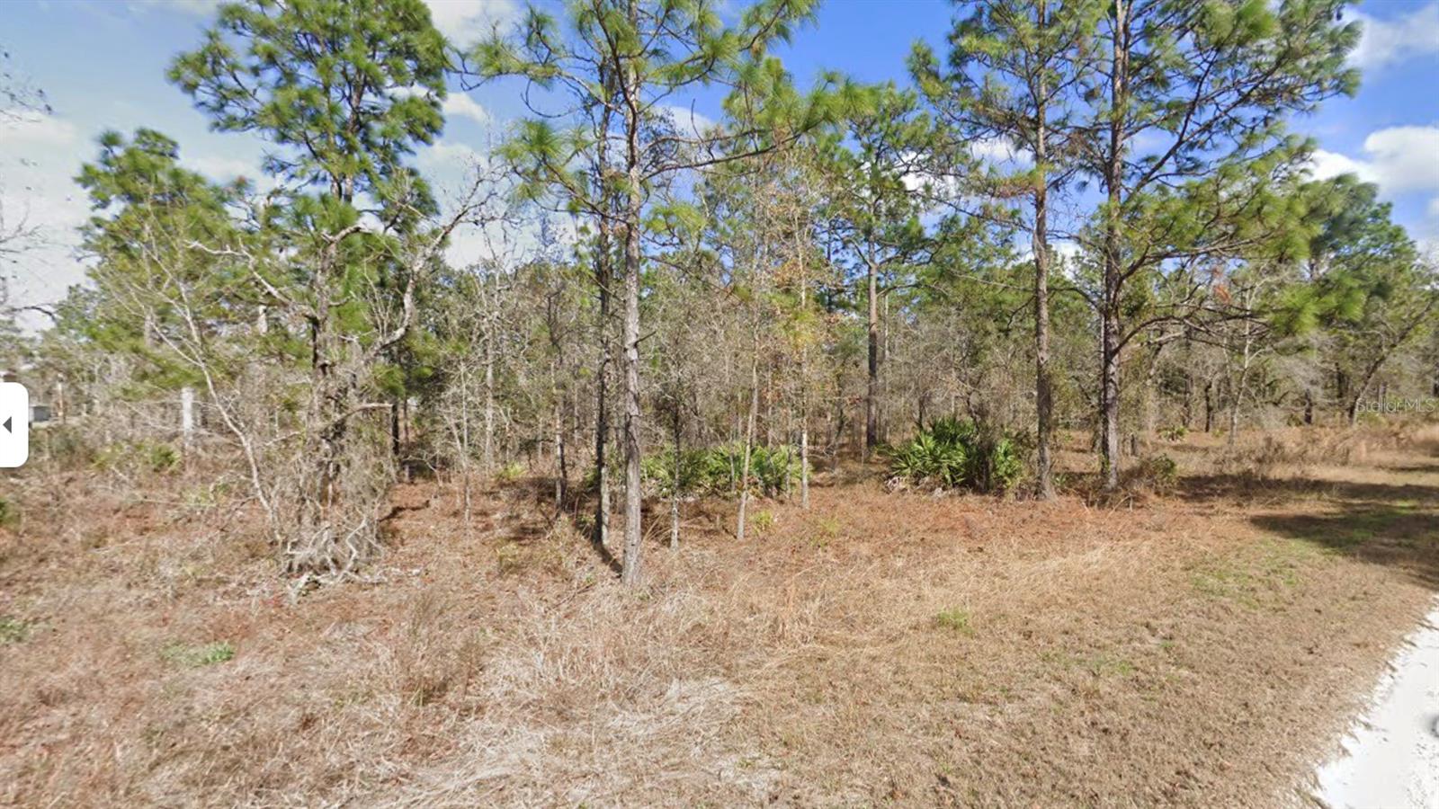 13351 SCHICK AVE, BROOKSVILLE, FL, 34614