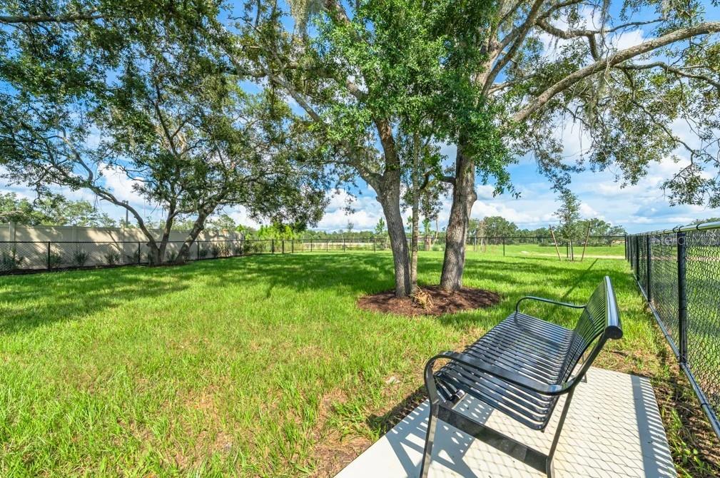 12219 TEMPEST LN, HUDSON, FL, 34669