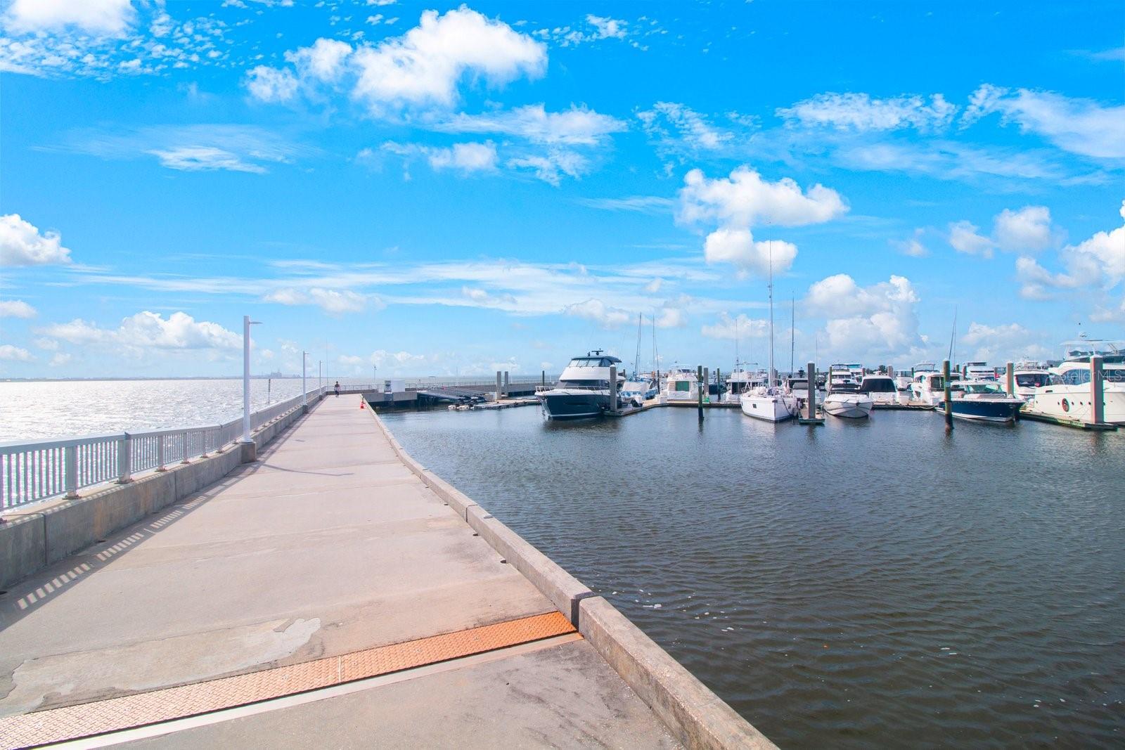 4884 YACHT CLUB DR, TAMPA, FL, 33616