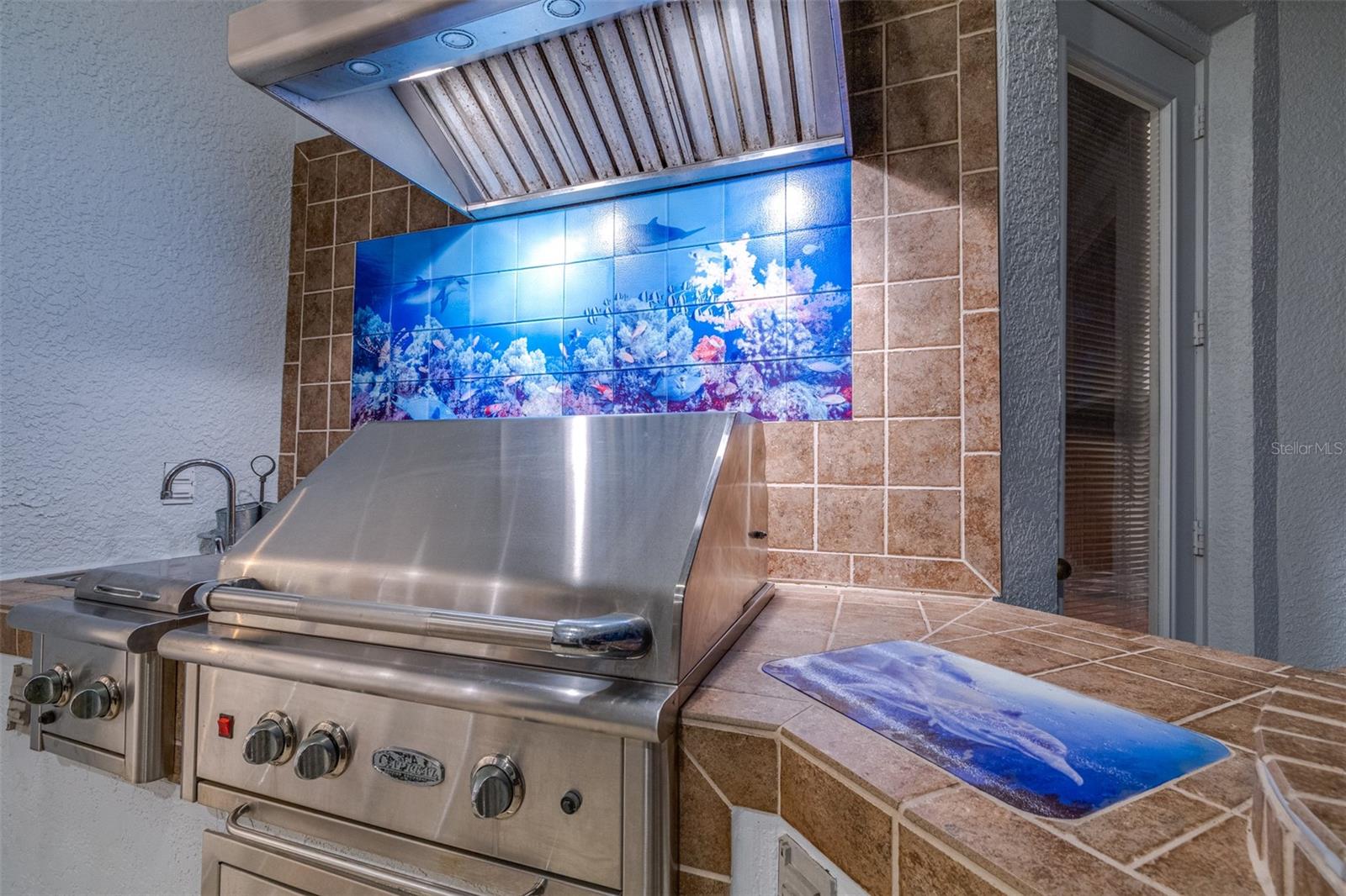 10102 DEERCLIFF DR, TAMPA, FL, 33647