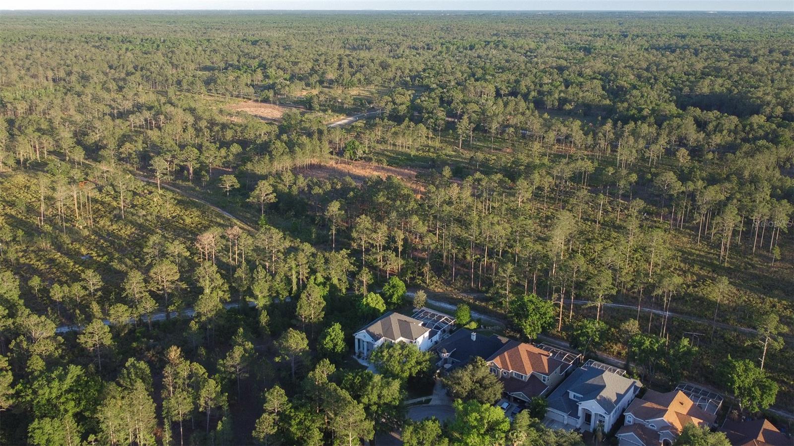 10102 DEERCLIFF DR, TAMPA, FL, 33647