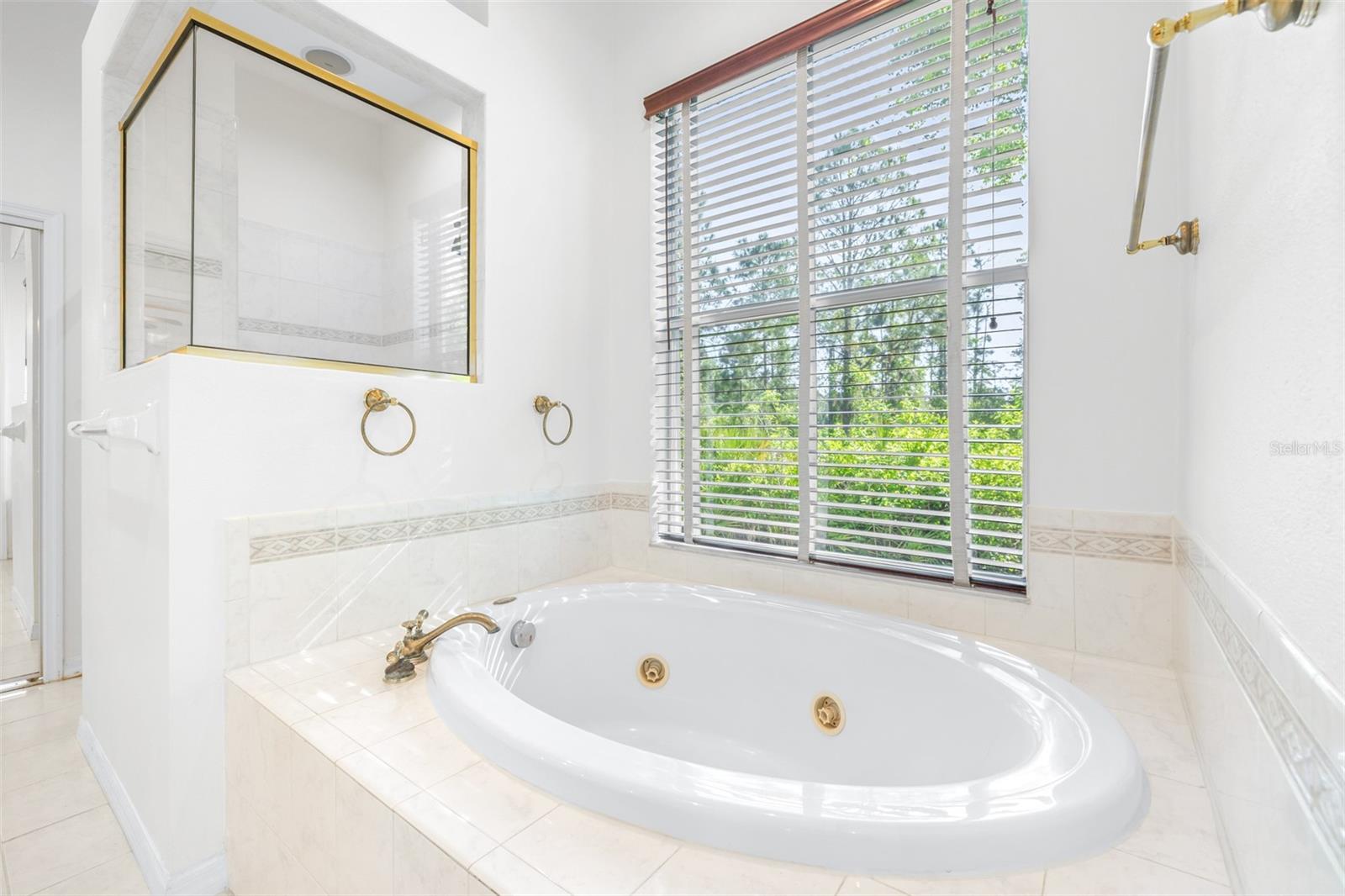 10102 DEERCLIFF DR, TAMPA, FL, 33647