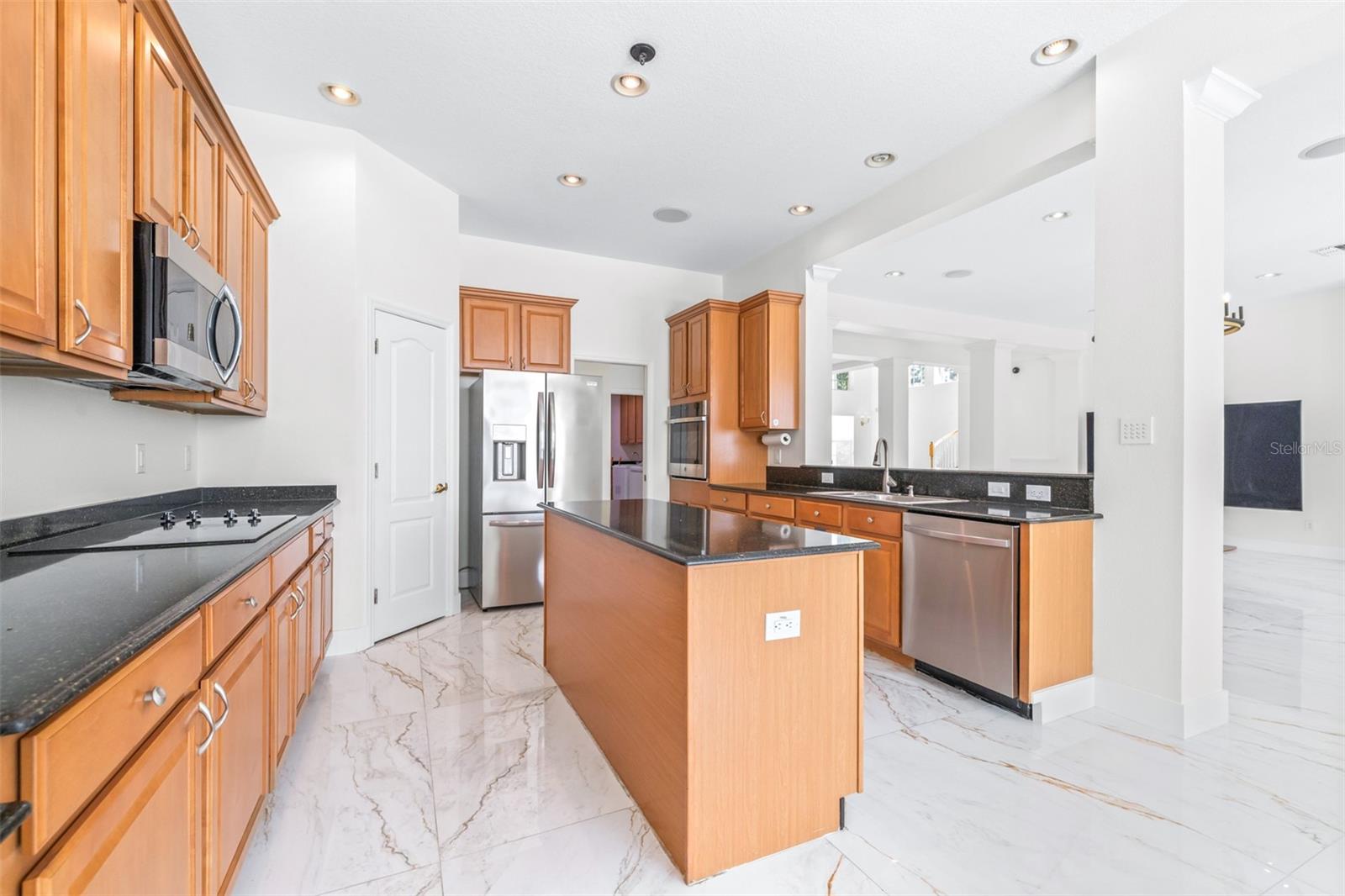 10102 DEERCLIFF DR, TAMPA, FL, 33647