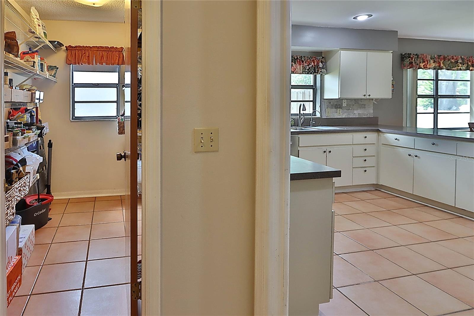 19814 DEER HOLLOW LN, LUTZ, FL, 33548