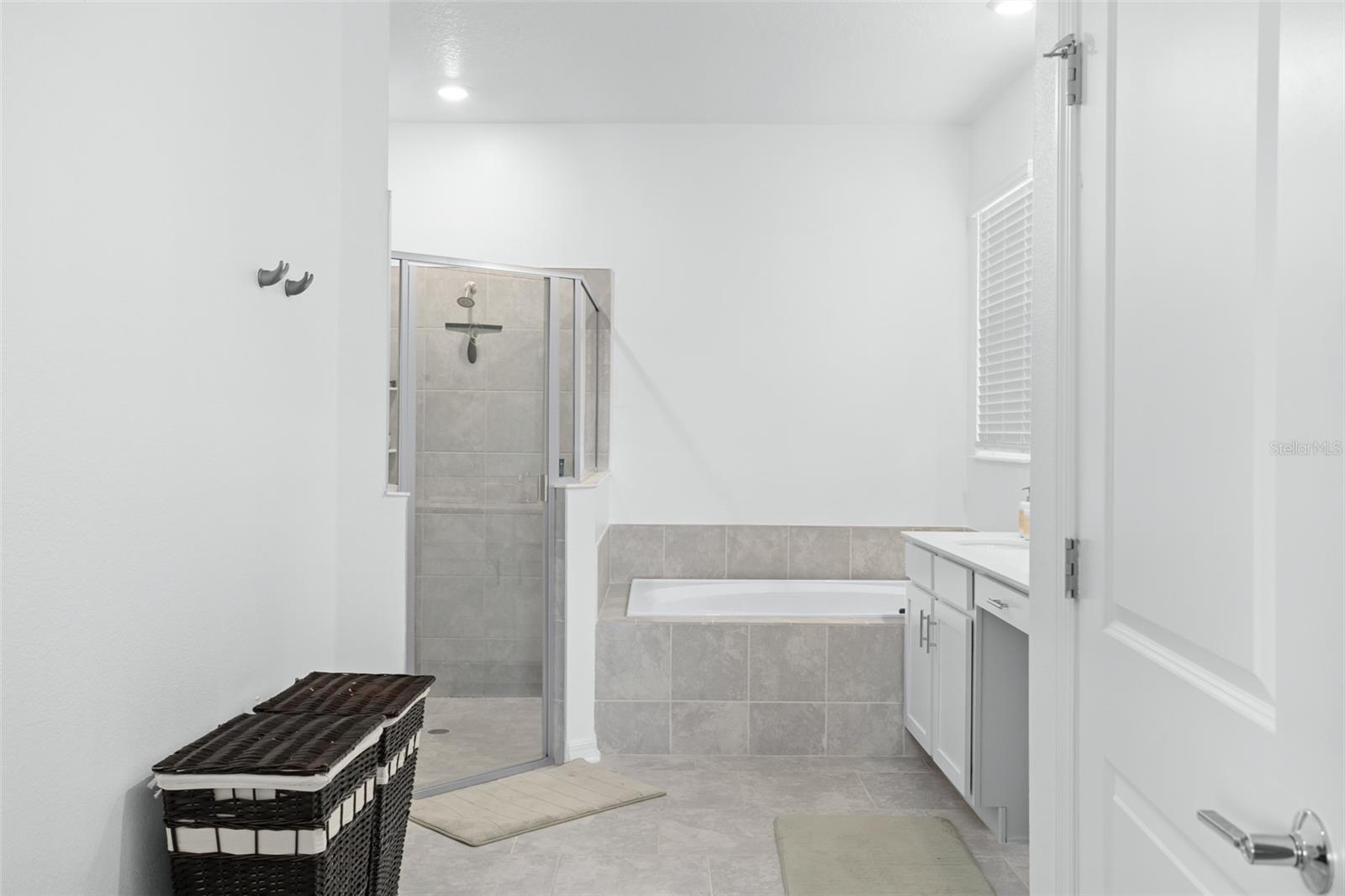 6115 CLAYSTONE WAY, MOUNT DORA, FL, 32757