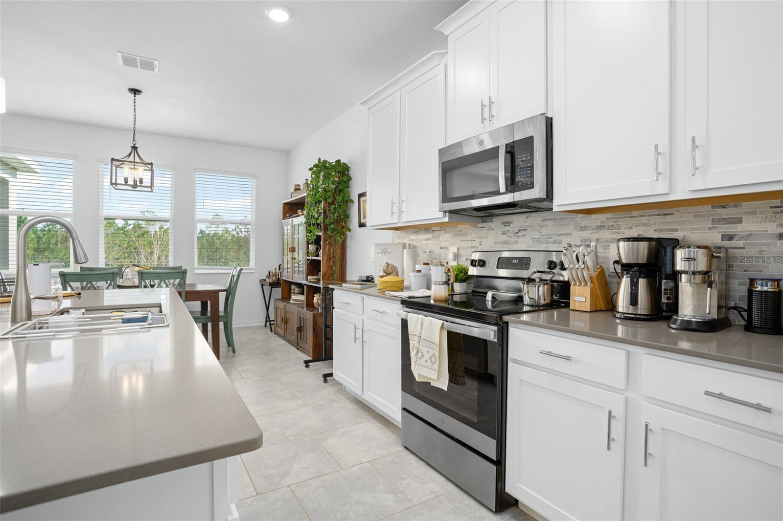 6115 CLAYSTONE WAY, MOUNT DORA, FL, 32757