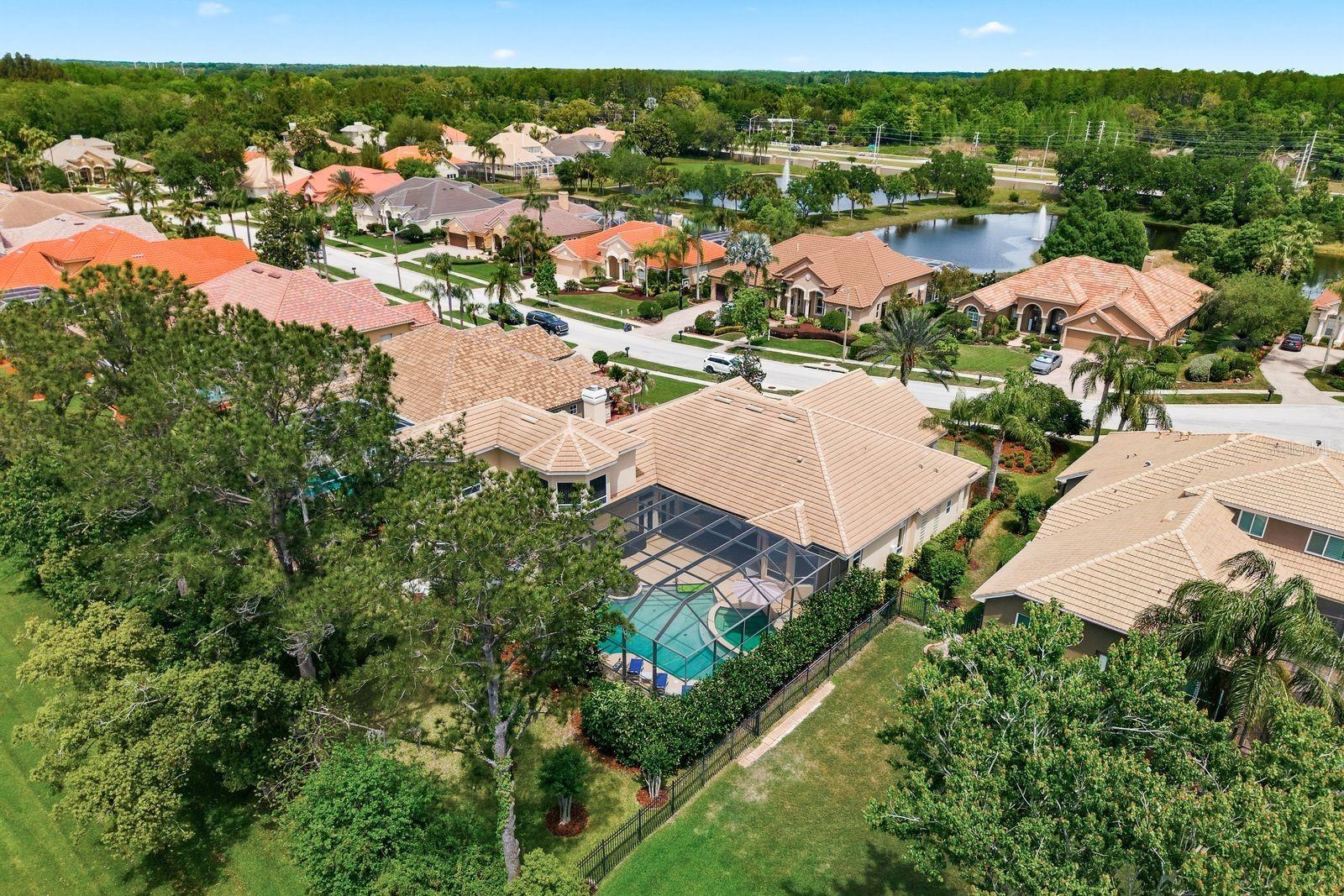 976 CYPRESS COVE WAY, TARPON SPRINGS, FL, 34688