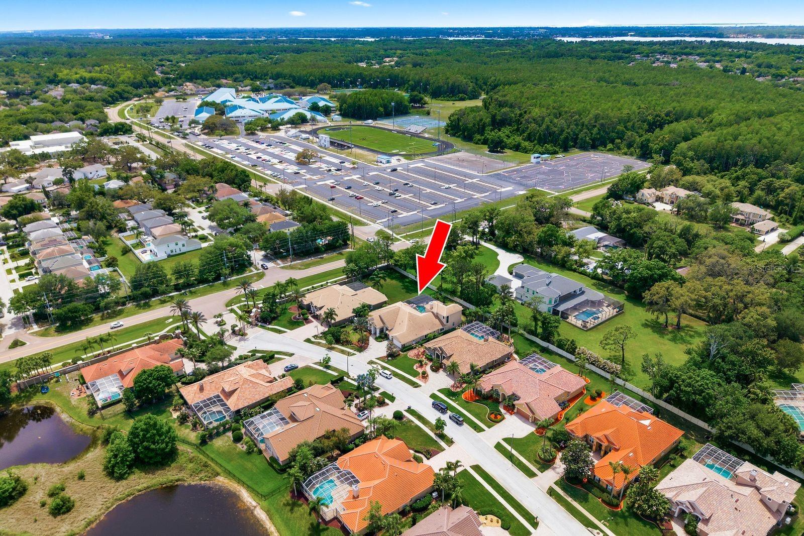 976 CYPRESS COVE WAY, TARPON SPRINGS, FL, 34688