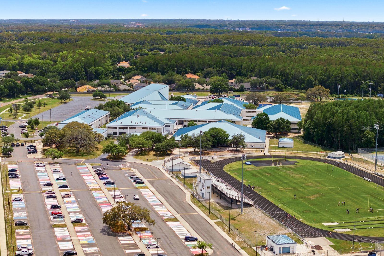 976 CYPRESS COVE WAY, TARPON SPRINGS, FL, 34688