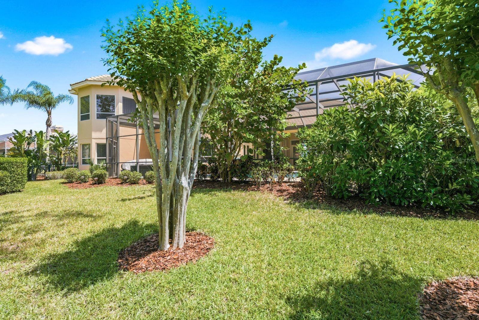 976 CYPRESS COVE WAY, TARPON SPRINGS, FL, 34688