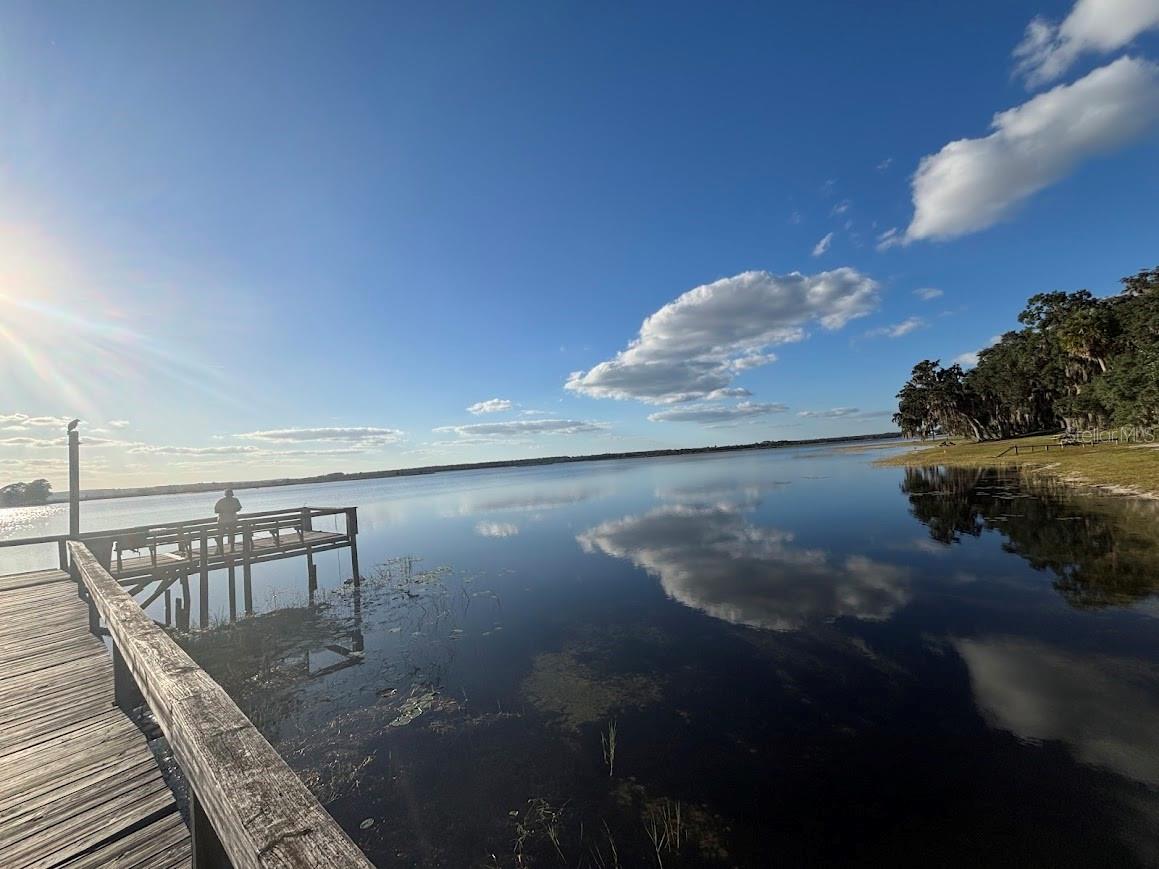 25238 NE 144TH ST, FORT MC COY, FL, 32134