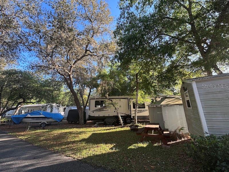 25238 NE 144TH ST, FORT MC COY, FL, 32134