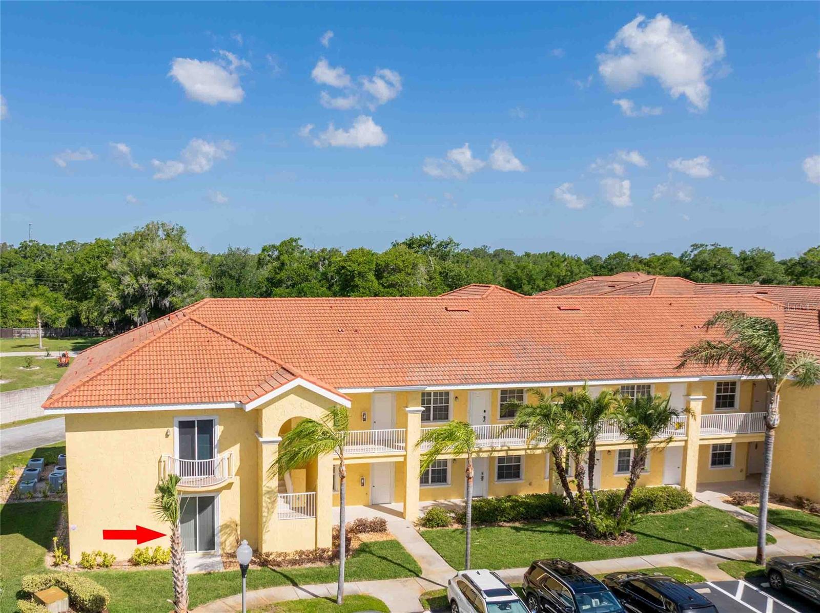 21011 PICASSO CT #106, LAND O LAKES, FL, 34637