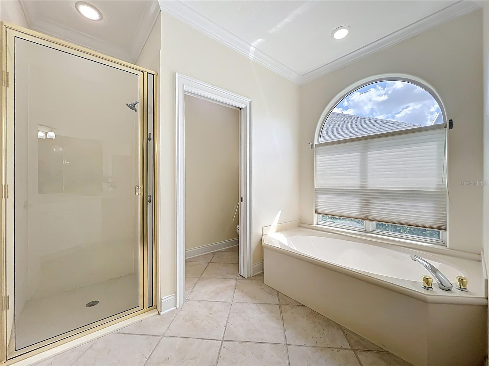 1861 EDGEWATER DR, MOUNT DORA, FL, 32757