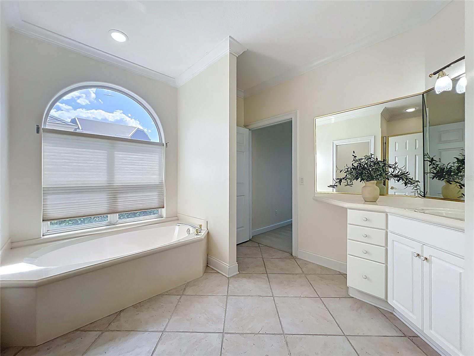 1861 EDGEWATER DR, MOUNT DORA, FL, 32757