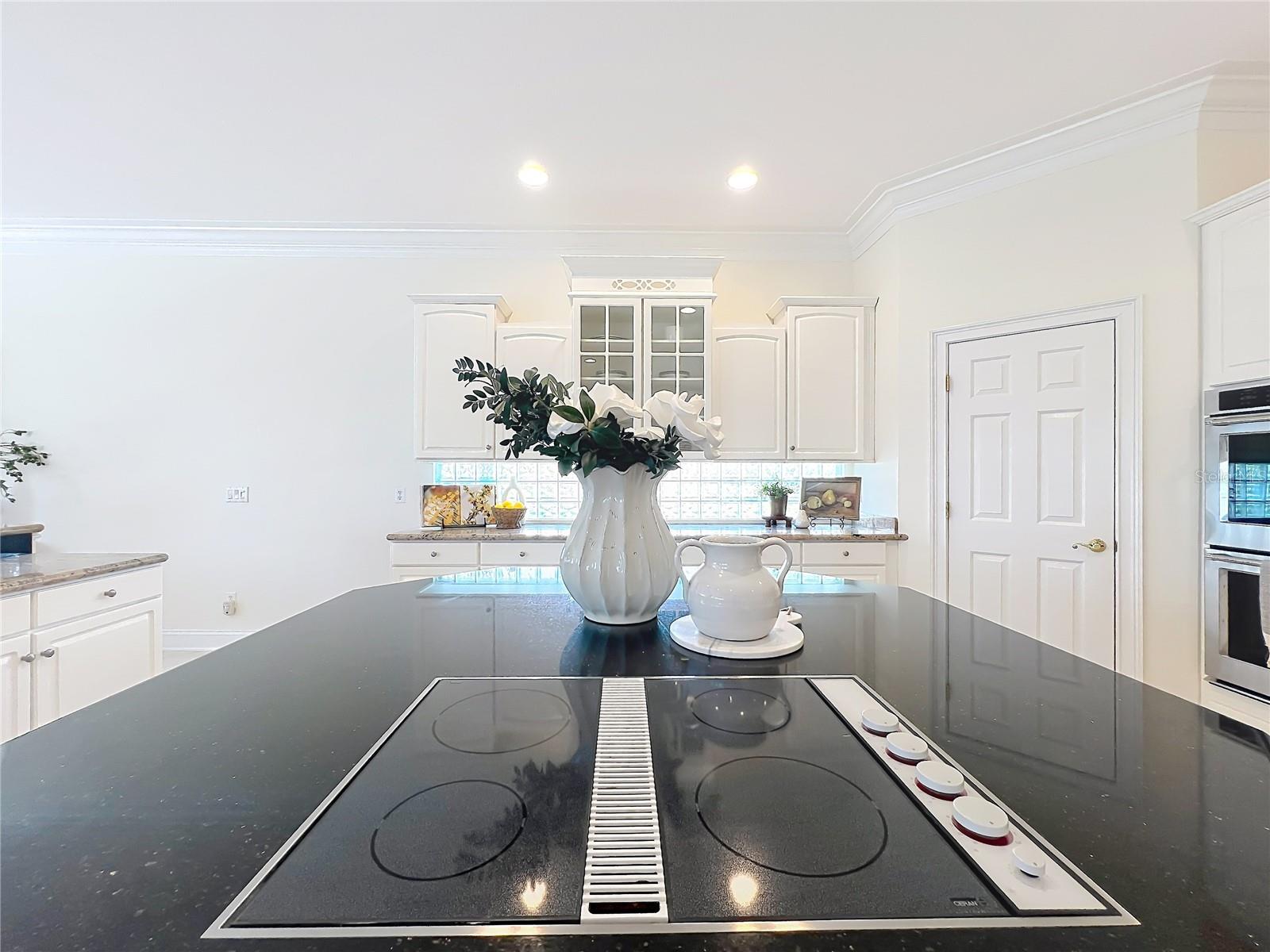 1861 EDGEWATER DR, MOUNT DORA, FL, 32757